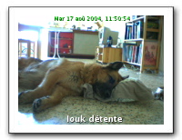 webcam41