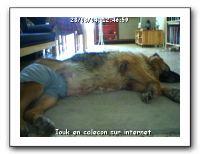 webcam49
