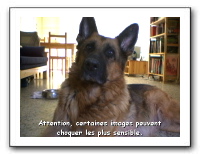 webcam57
