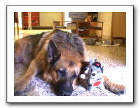 webcam51