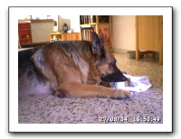 webcam52