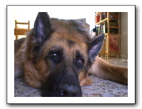 webcam53
