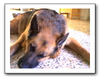 webcam55