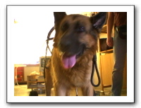 webcam56