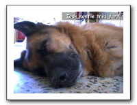 webcam59