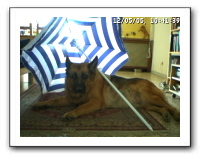 webcam76