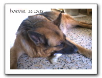 webcam83