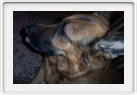 Image0056