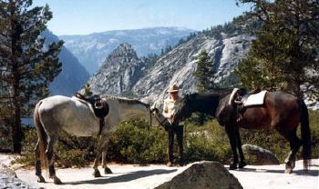 Photos de Chevaux en Randonnée