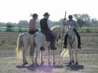 Photo Equitation Camargue 1