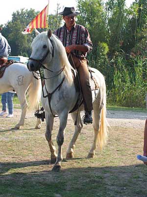 Photo Equitation Camargue 2