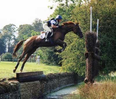 Les Activités Equestres