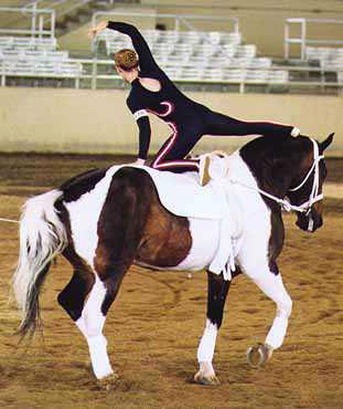 Illustration De Voltige À Cheval, Tapis De Gymnastique Et De