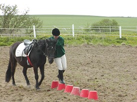 Animateur Poney Bénévole