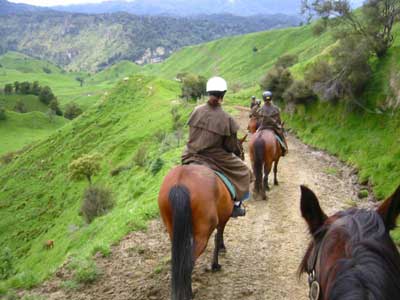 L'Accompagnateur de Tourisme Equestre.