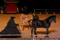 Le Chevalier de Saint George, un Africain a la Cour