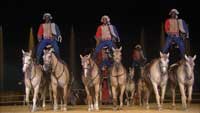 Le Chevalier de Saint George, un Africain a la Cour