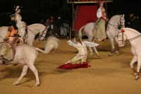 Le Chevalier de Saint George, un Africain a la Cour