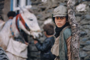 Un Temps pour l'Ivresse des Chevaux