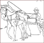 Coloriages Equestres