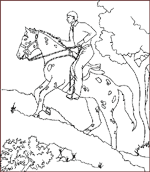 Coloriages Equestres