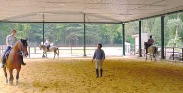 Les Écoles Françaises d'Equitation : Pratique Equestre