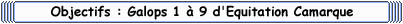 Objectifs et Observables - Galops 1 a 9 d'Equitation Camargue
