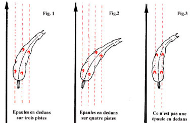 Epaule-en-Dedans