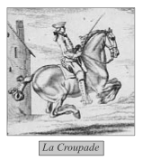 Croupade