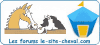 Forum du site Cheval
