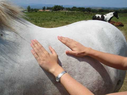 Massages