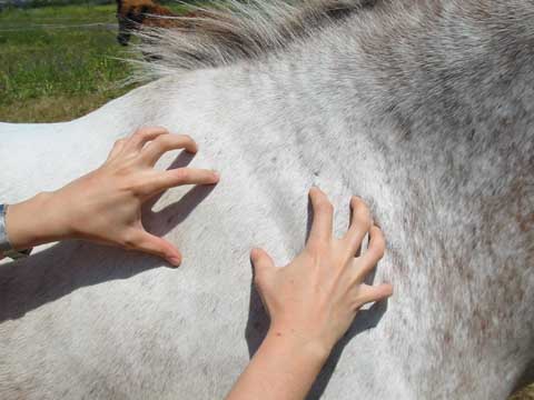 Massages