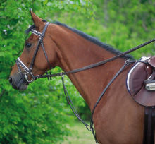 La Martingale a Anneaux