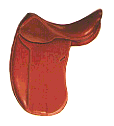 La Selle de Dressage