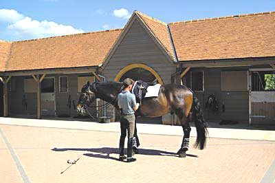 Les Métiers Equestres