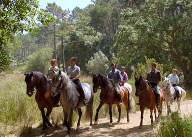 Accompagnateur de Tourisme Equestre