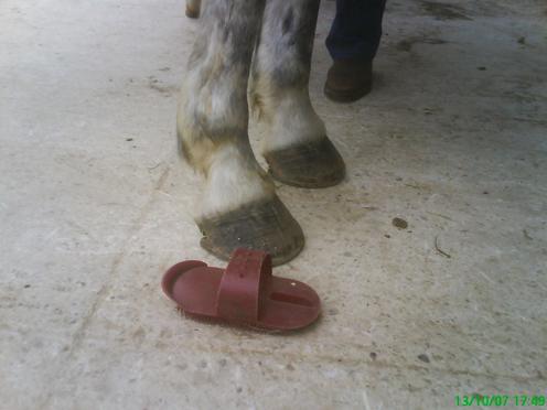 Le Pied et La Marechalerie