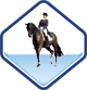 Quiz Dressage