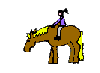 Le site Cheval