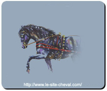 Tapis de Souris Cheval