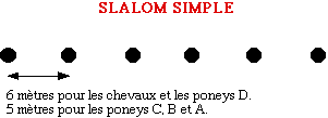 Les Slaloms