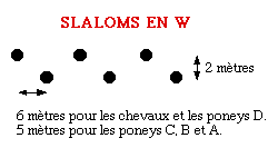 Les Slaloms