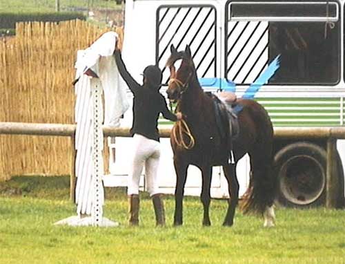 Le Poncho