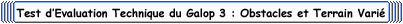 Test d'&Eacute;valuation Technique : Galop 3 Obstacles