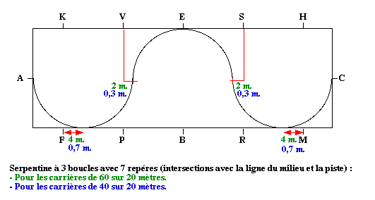 Serpentine à 3 Boucles