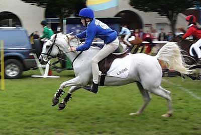 Les Écoles Françaises d'Equitation : Pédagogie et Activités pour les Labels Cheval Club et Poney Club