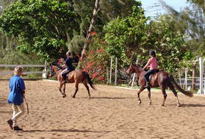 Les Écoles Françaises d'Equitation : Pratique Equestre