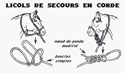 Le site Cheval